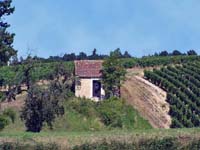 Ancienne cabane viticole